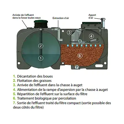 Vue en coupe légendée du filtre compact Bionut, de la décantation des boues à la sortie de l'effluent traité