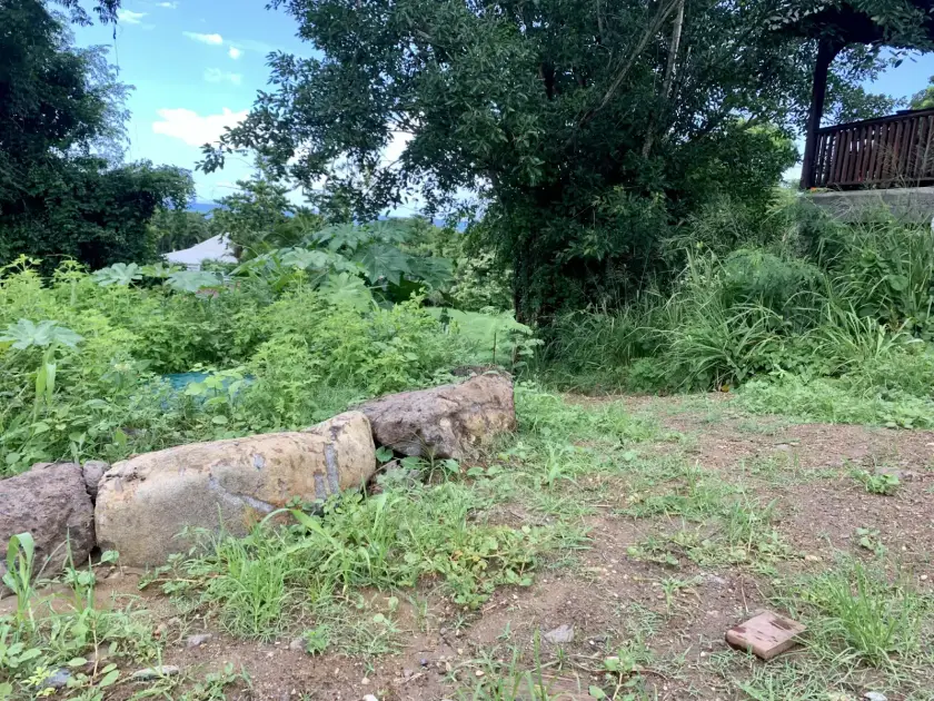 Terrain herbeux bordé de pierres, un couvercle de cuve à demi caché par la végétation à gauche