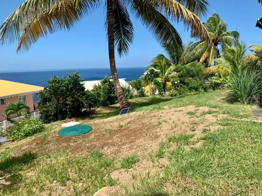 Terrain en pente avec cocotiers et vue sur la mer, couvercle vert d'une cuve et petit panneau solaire dans l'herbe